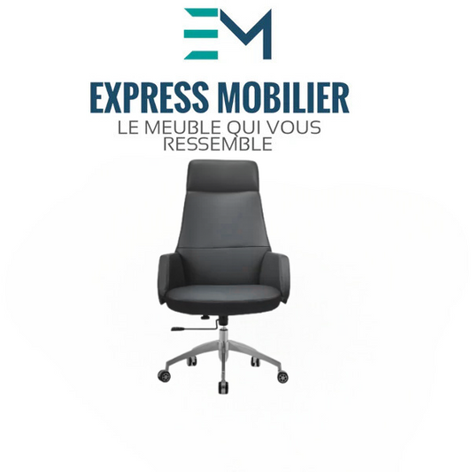 Fauteuil noir cuir élégant